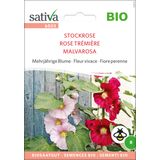 Sativa Bio Mehrjährige Blume "Stockrose"
