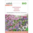 Sativa Ancolie Bio - 1 sachet