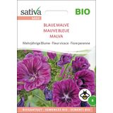 Sativa Bio Mehrjährige Blume "Blaue Malve"