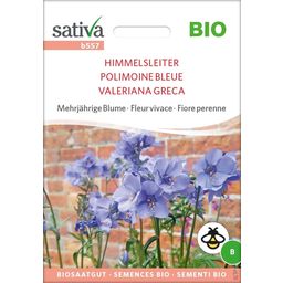 Sativa Organic Jacob's Ladder Perennial Flowers