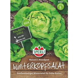 Sperli Winterkopfsalat - 1 Pkg