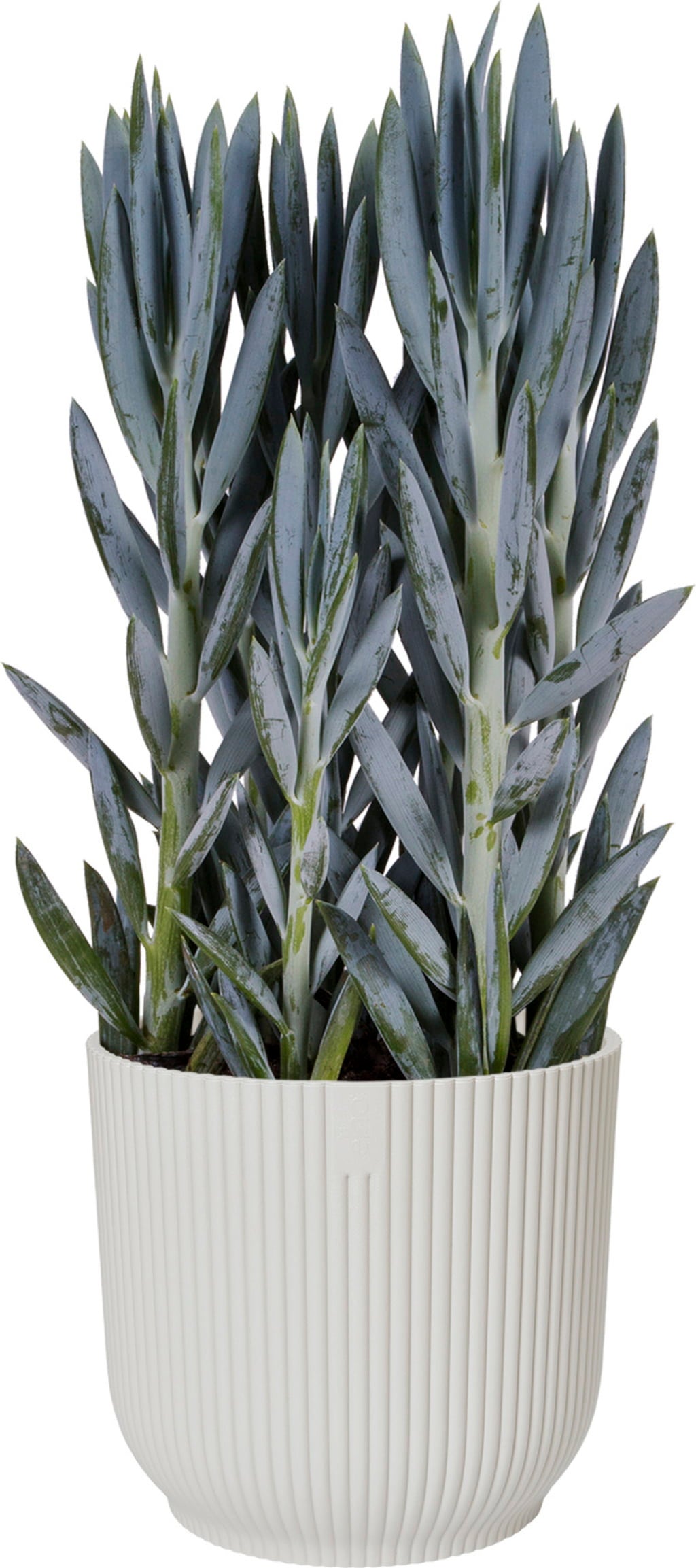elho vibes fold round 18cm - Silky White