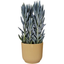 elho vibes fold round 18cm - Butter Yellow