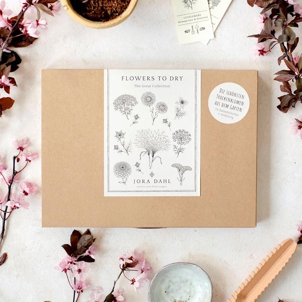 Jora Dahl Trockenblumen Set 
