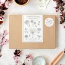 Jora Dahl Flowers To Dry - The Great Collection - 1 set