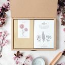 Jora Dahl Flowers To Dry - The Great Collection - 1 set