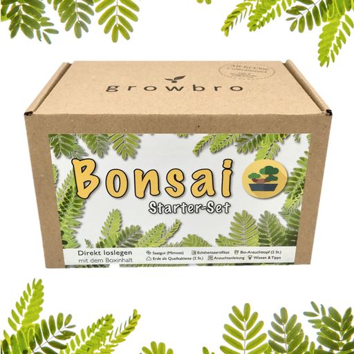Set da Coltivazione - Mimosa Pudica Bonsai - 1 set