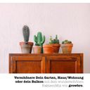 growbro Set de cultivo - Cactus Mix - 1 set