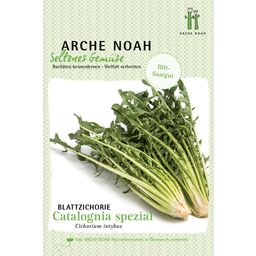 Arche Noah Organic Chicory "Catalogna spezial"