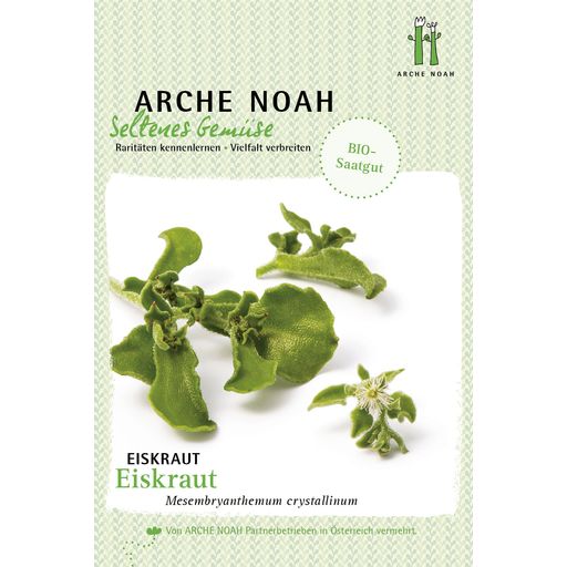 Arche Noah Organic Common Ice Plant - 1 Pkg