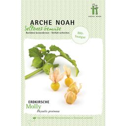Arche Noah Organic Ground Cherry "Molly"