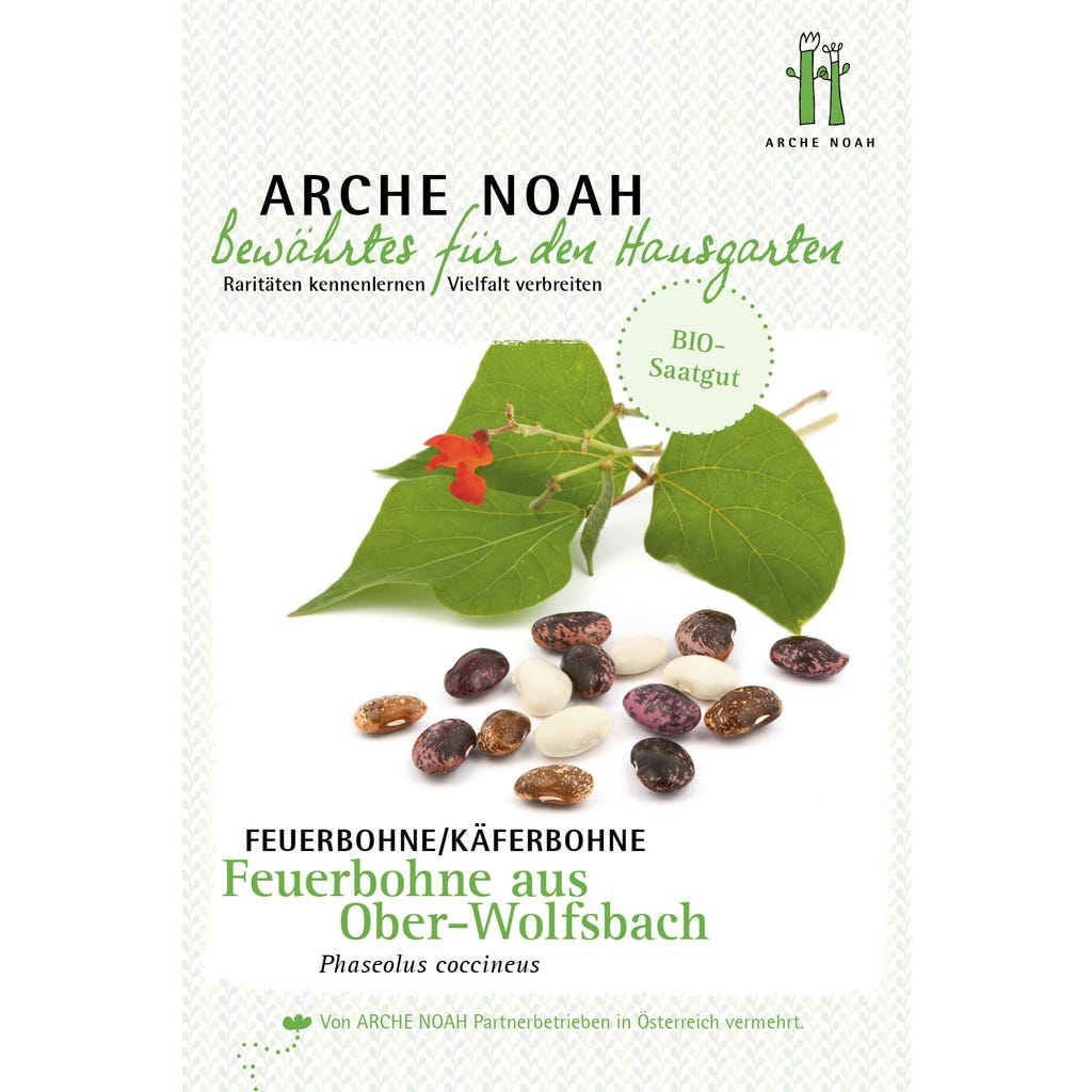 Arche Noah Bio Feuerbohne / Kferbohne "Aus Ober-Wolfsbach", 1 Packung -  Bloomling