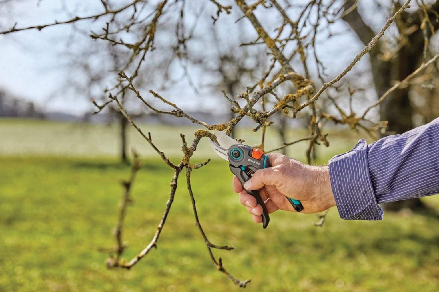 Gardena ExpertCut Secateurs - 1 item
