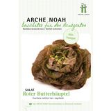 Arche Noah Lechuga 'Roter Butterhäuptl' Bio