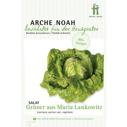 Organic Lettuce 