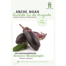 Arche Noah Organic Aubergine "Benary’s Blaukönigin"