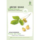 Arche Noah Bio jahoda lesná "Fraise des Bois"