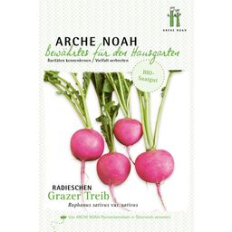 Arche Noah Organic Radishes "Grazer Treib"