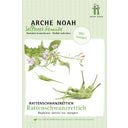 Arche Noah Organic Rat-Tail Radish - 1 Pkg