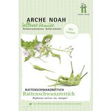 Arche Noah Bio Rattenschwanzrettich