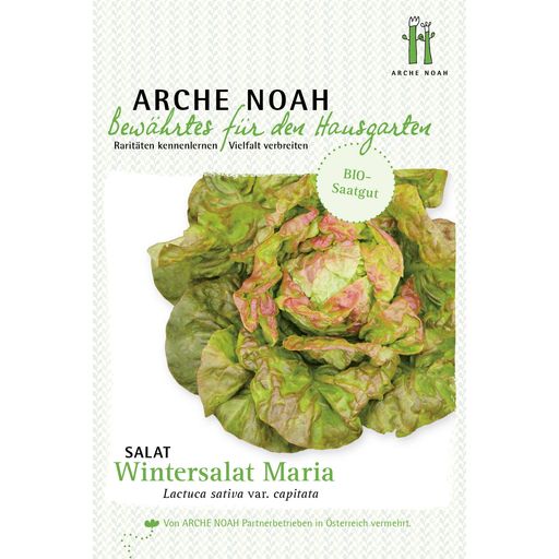 Arche Noah Bio Salat "Wintermarie" - 1 Pkg
