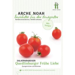 Pomidor zwyczajny, sałatkowy bio "Quedlinburger Frühe Liebe"