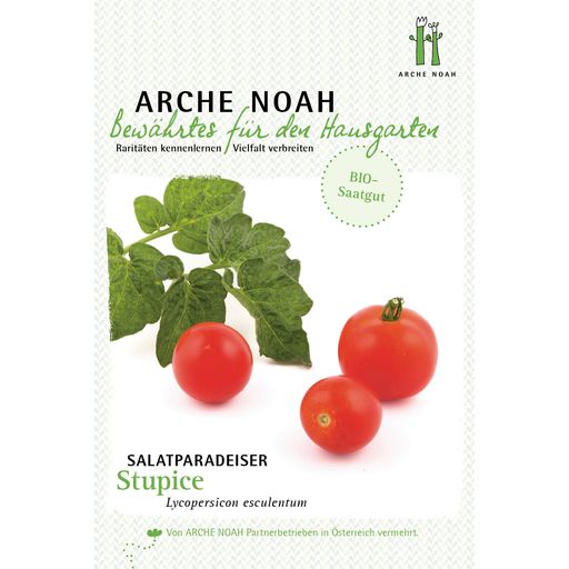 Arche Noah Bio Salatparadeiser 