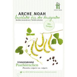 Arche Noah Organic Runner Bean "Posthörnchen"