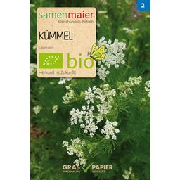 Samen Maier Organic Caraway Seeds - 1 Pkg