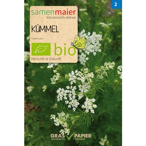 Samen Maier Bio Kümmel - 1 Pkg