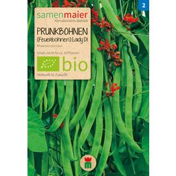 Samen Maier Bio Prunkbohnen (Feuerbohne) 
