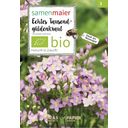 Samen Maier Organic Wildflower - Centaury - 1 Pkg