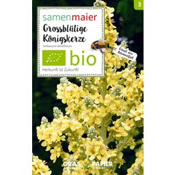 Organic Wildflower - Large-Flowered Mullein - 1 Pkg