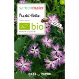 Samen Maier Organic Wildflower - Carnation
