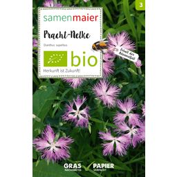 Samen Maier Organic Wildflower - Carnation - 1 Pkg