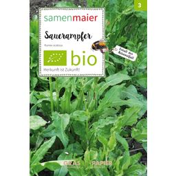 Samen Maier Bio Vadvirág - Mezei sóska - 1 csomag