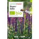 Samen Maier Organic Wildflower - Steppe Sage - 1 Pkg