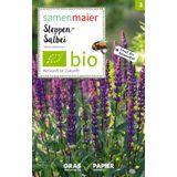 Samen Maier Fleur Sauvage - Sauge des Bois Bio