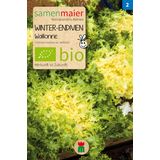 Samen Maier Salade d'Hiver "Wallonne" Bio