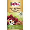 SUBSTRAL® Naturen® Bio Kirschfruchtfliegen-Falle - 1 Set