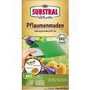 SUBSTRAL® Naturen® Bio Pflaumenmaden-Falle Nachrüstset - 1 Set