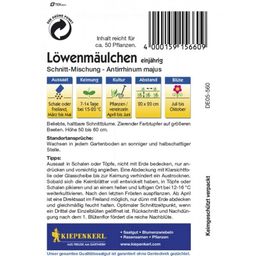 Kiepenkerl Leeuwebek Snijbloemen Mix - 1 Verpakking