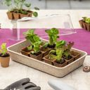 Windhager ECO Seed Tray - 1 item