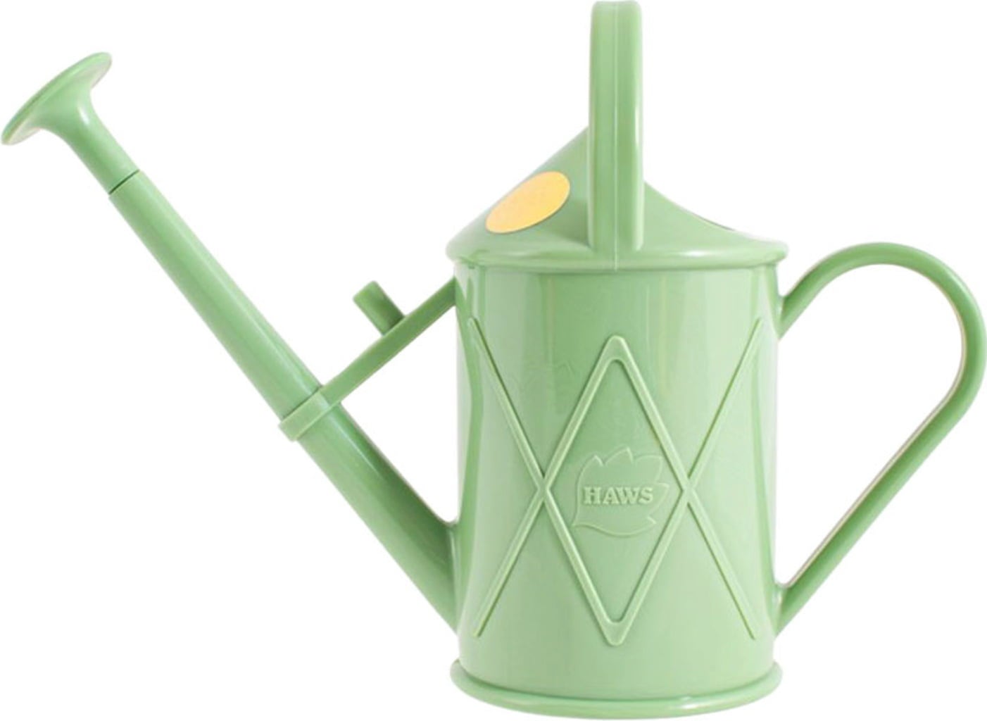 "The Bartley Burbler" - Indoor Watering Can - 1 L
