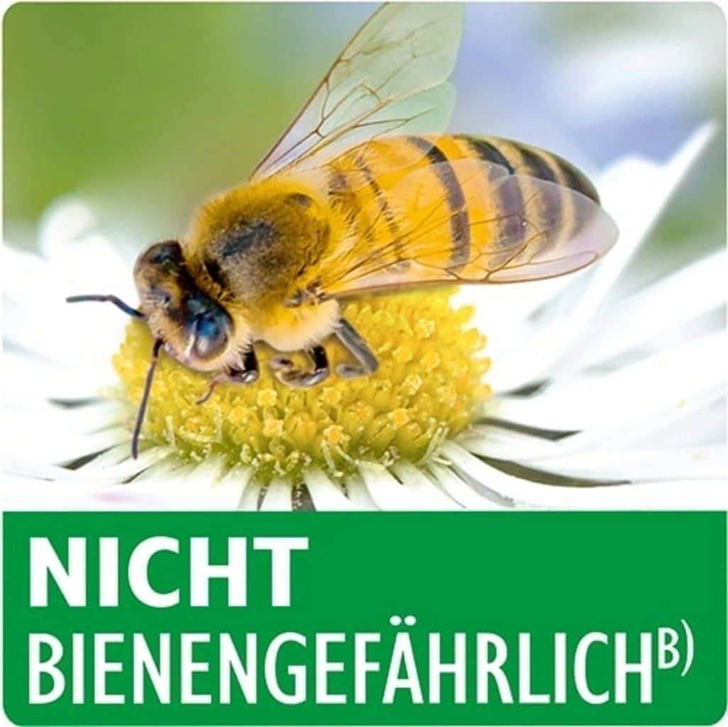 Neudorff Xentari Anti-Chenilles - 1 pièce