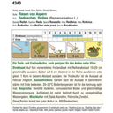 AUSTROSAAT Radish „Riesen von Aspern“ - 1 Pkg