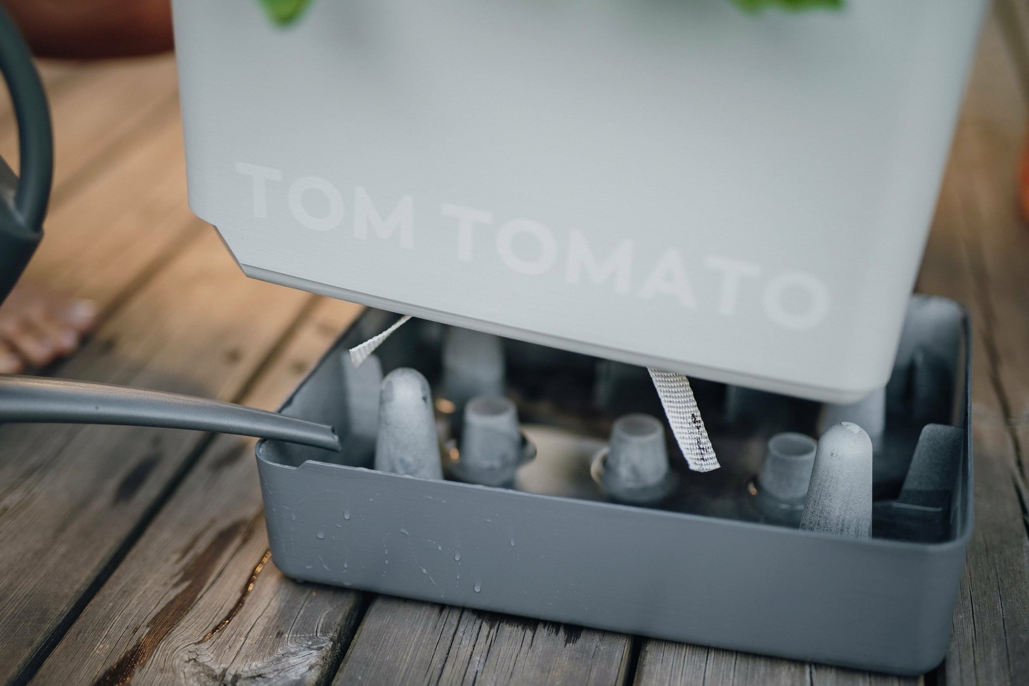 Gusta Garden Tom Tomato - Kit de Plantation