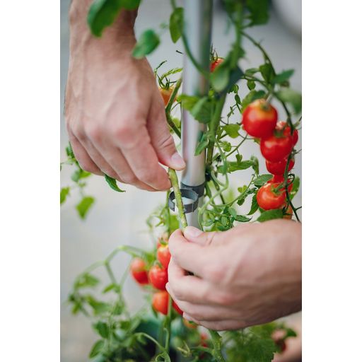 Gusta Garden Tom Tomato - Pflanztopf-Set
