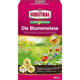 Semena za travnik in cvetje "Die Blumenwiese"