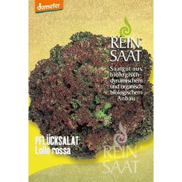 ReinSaat Salat "Lollo rossa"